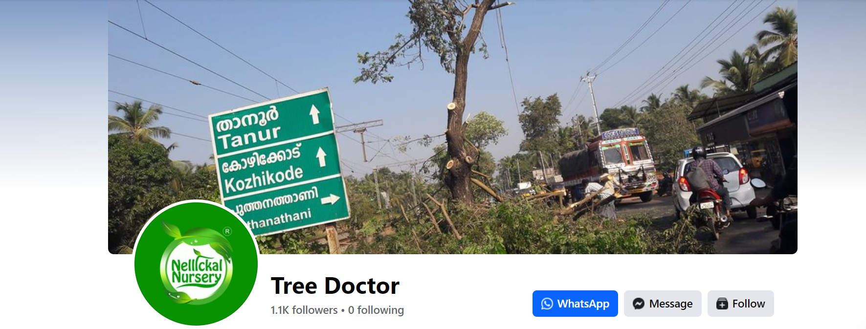 (14) Tree Doctor