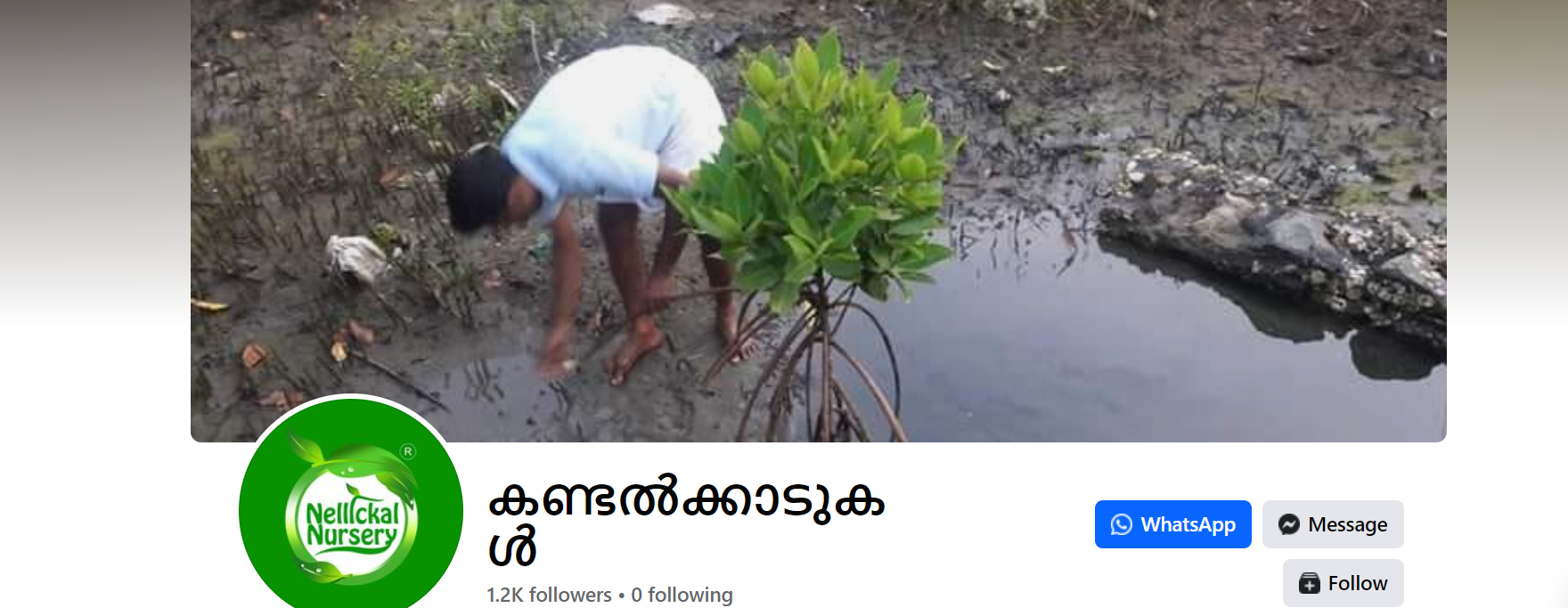 (27) കണ്ടൽക്കാടുകൾ