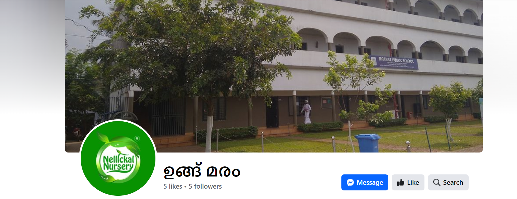 (30) ഉങ്ങ് മരം