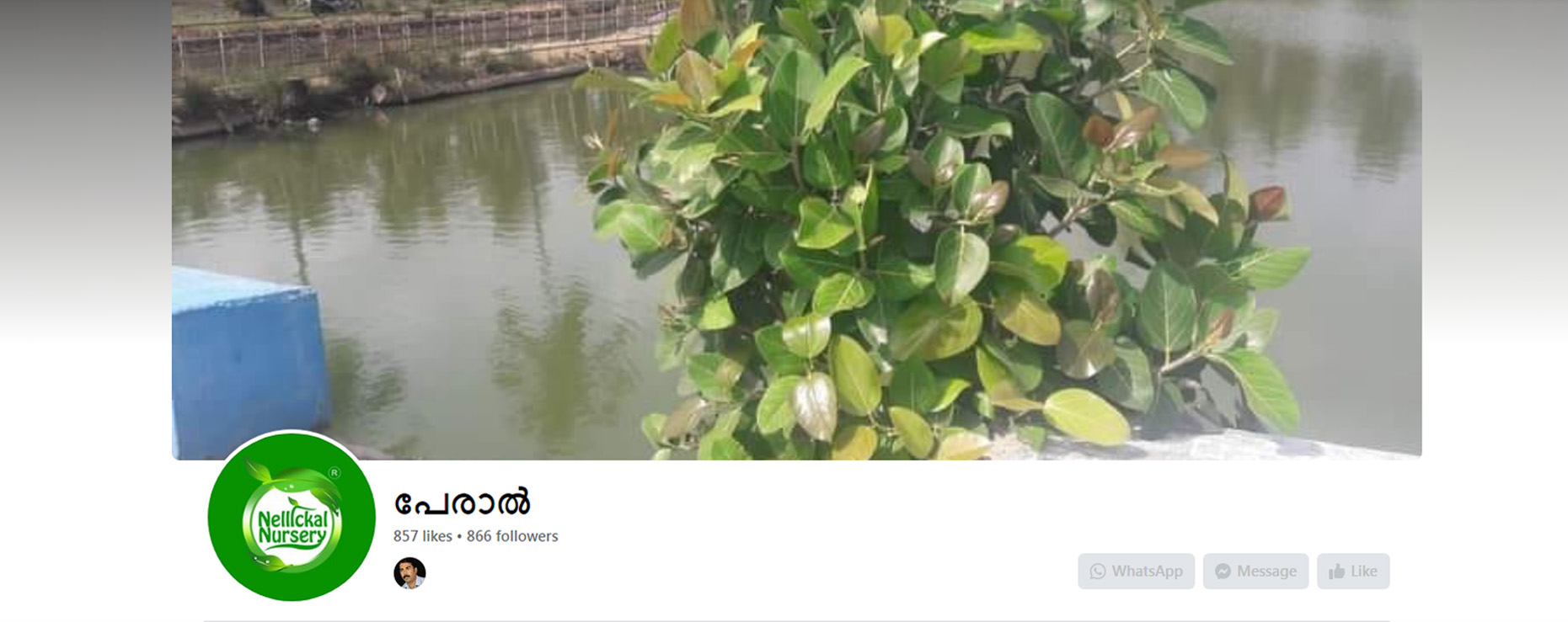 (33) പേരാൽ